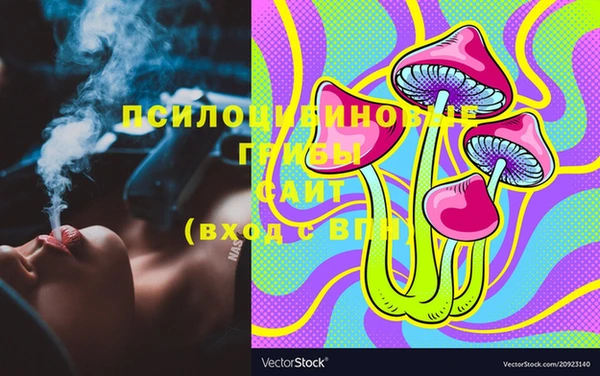 ПСИЛОЦИБИНОВЫЕ ГРИБЫ Мегион