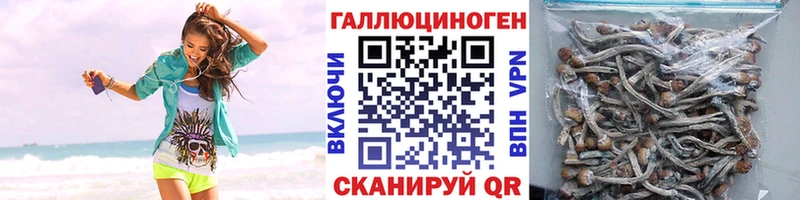 Галлюциногенные грибы ЛСД  купить наркоту  darknet какой сайт  Волоколамск 