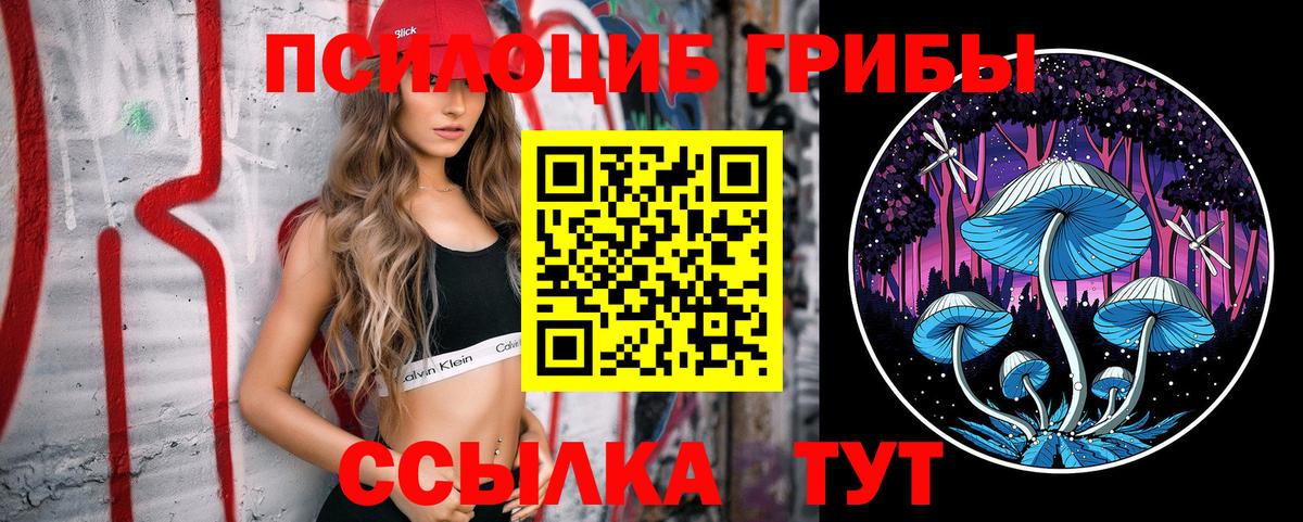 Галлюциногенные грибы мухоморы Волоколамск